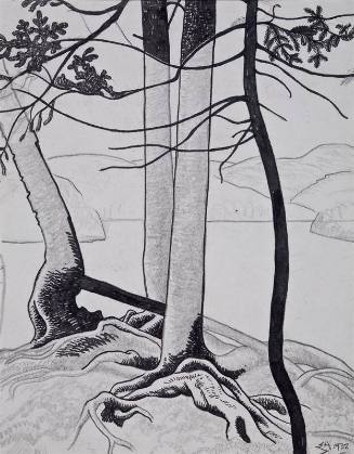 untitled [Algonquin Park landscape]