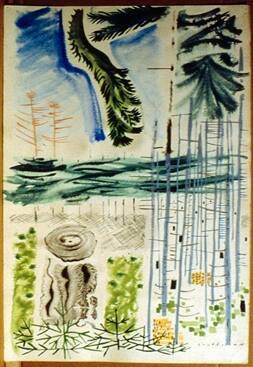 Forest Collage