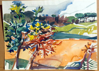 Villina Trees