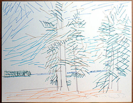 Tree Sounds