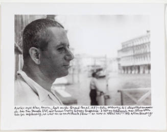 Alan Ansen, Venice in profile