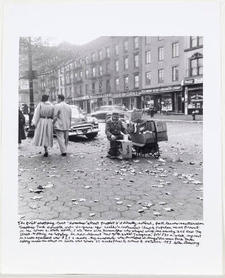 Shopping Cart, Avenue A, St. Marks Place, NYC