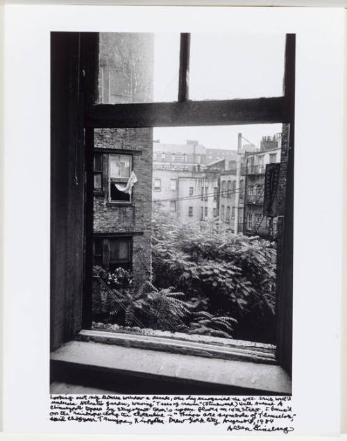 Windows: 8/1/84