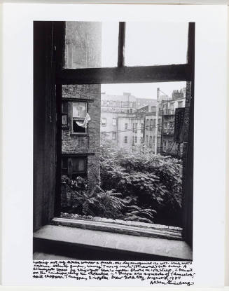 Windows: 8/1/84