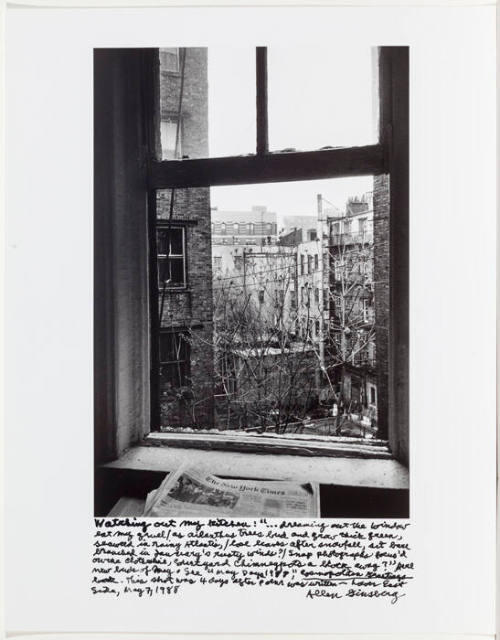 Window: 5/7/88, New York Times