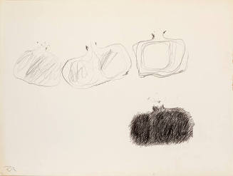 untitled (Pomegranate Series)