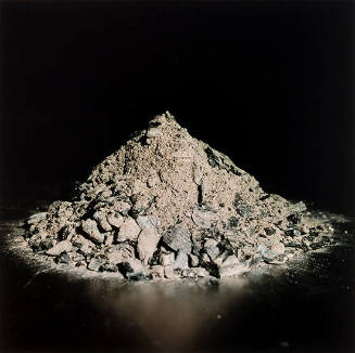 untitled [The Fallen Body series]
