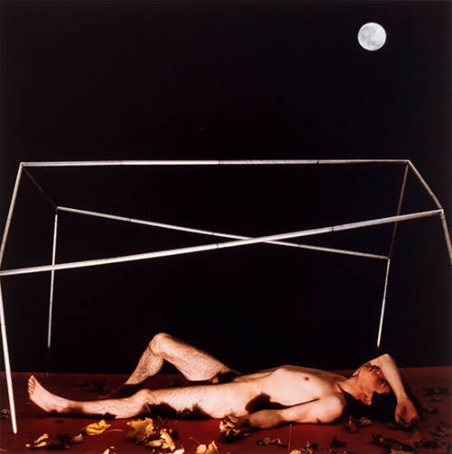 untitled [The Fallen Body series]