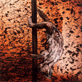 untitled [The Fallen Body series]