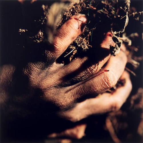 Aliyah [The Fallen Body series]
