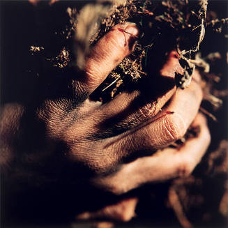 Aliyah [The Fallen Body series]