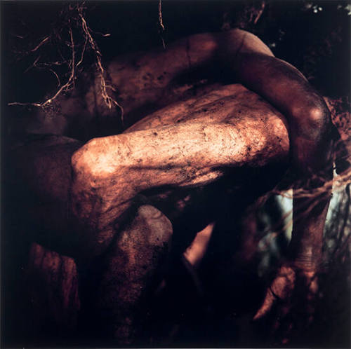 Aliyah [The Fallen Body series]