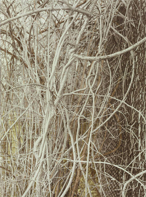 Numerical Territory