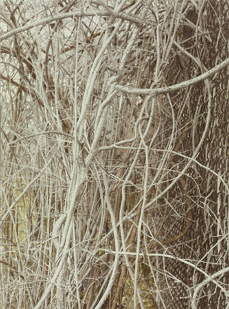 Numerical Territory