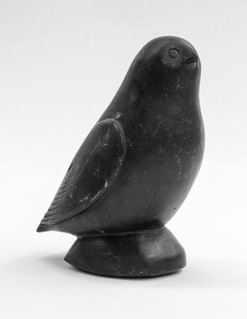 untitled [Bird]