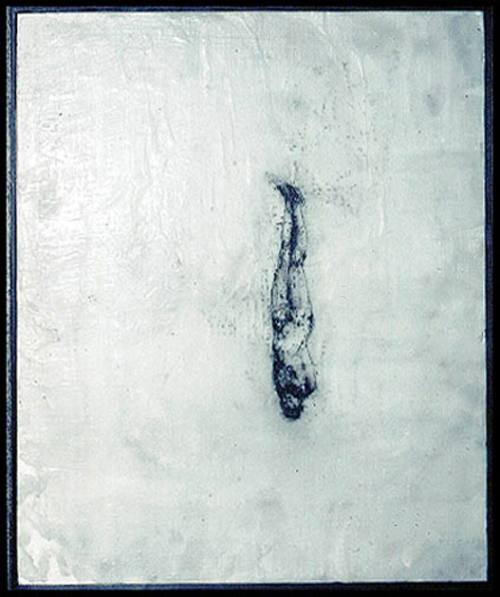 Camera Obscura