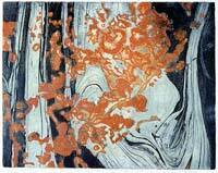Lichen: Channel Rock