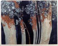 Lichen, Starvation Bay