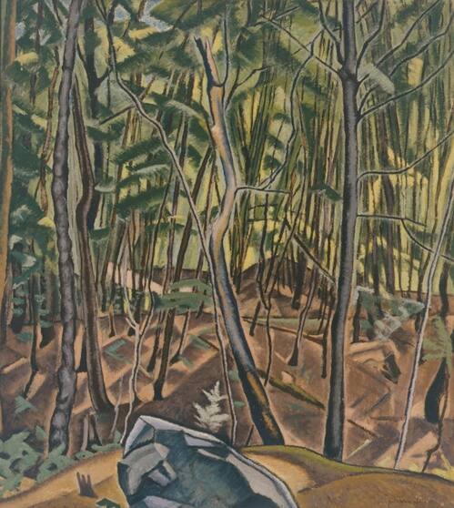 In the Woods