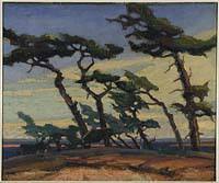 Windswept Pines