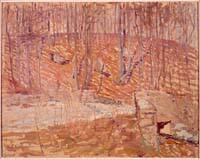 Woods, Early Spring