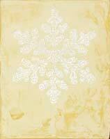 Melting Snow Crystal Virus #4