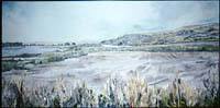 A Field on the River