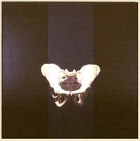 Male Pelvis with Warm Black and Grey