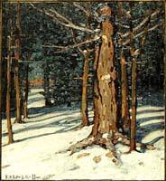 Break in the Woods