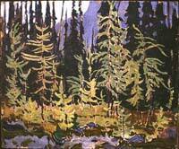 Larch Trees, Autumn