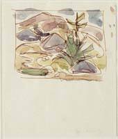 Thumbnail sketch for "Weed in the Rocks"