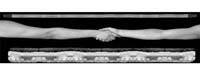 Border Series - Treaties