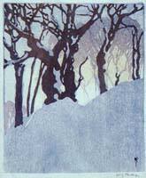 Snow Bank