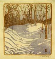 Winter Woods