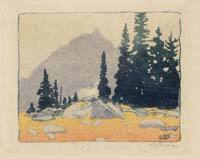 Alpine Meadow