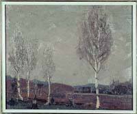 Birches