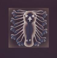 Lustrous Owl