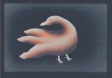 Preening Bird