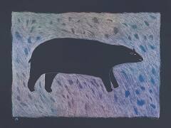 Tundra Bear