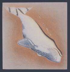 Arqavitturq (Diving Whale)