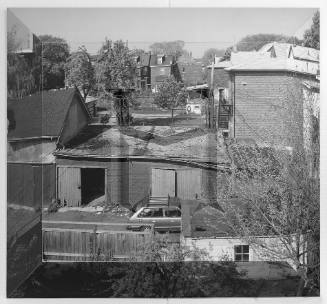 Backyards 