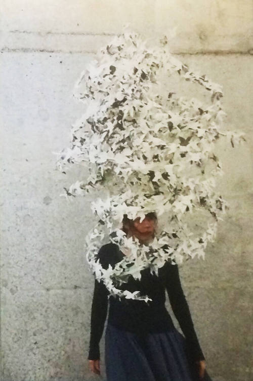 Murmur III
