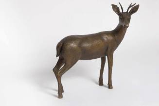 untitled (buck)