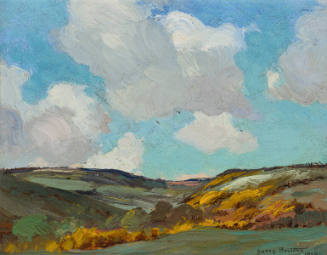 Cornish Moorland